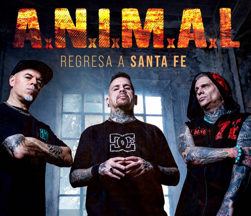 A.N.I.M.A.L en Tribus