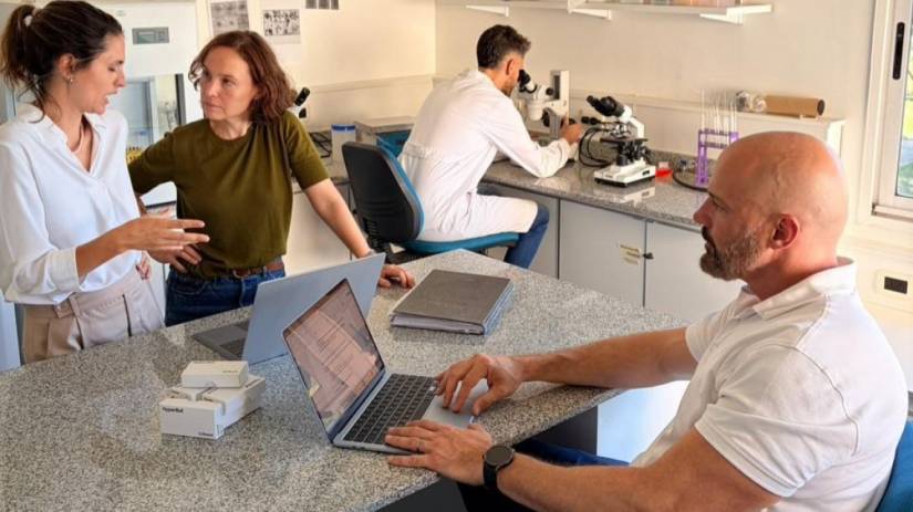 De los laboratorios al campo: Santa Fe mostrará en Expoagro biotecnología ganadera que ya se exporta