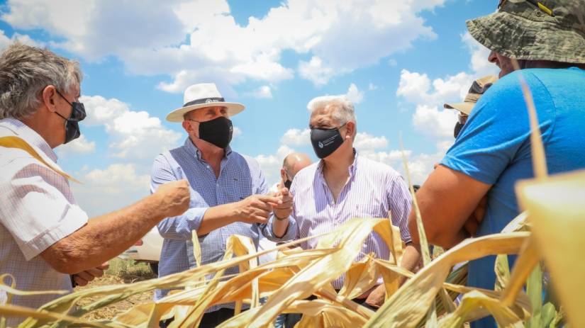 Perotti y el Ministro Domínguez recorrieron zonas agrícolas de la provincia afectadas por la sequía