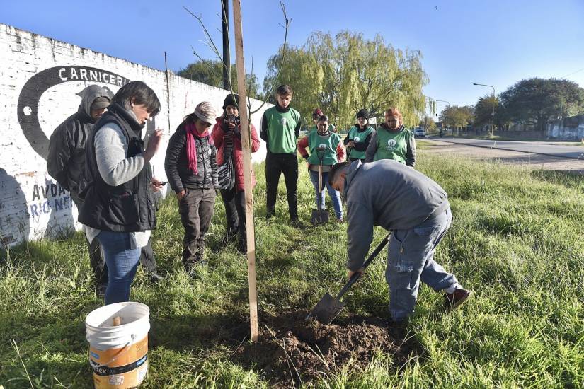 El nuevo Plan de Arbolado incluye el compromiso y la colaboración de los vecinos