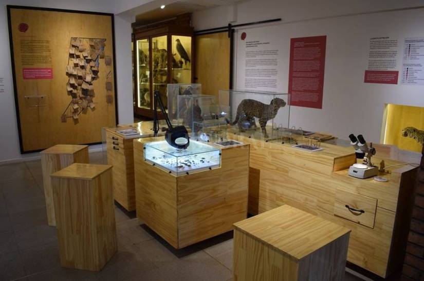 El museo de Ciencias Naturales de Santa Fe lanza su primer libro digital gratuito