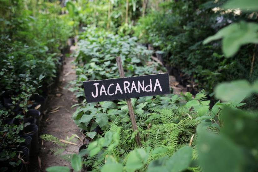 Gran diversidad de plantas y aves para descubrir en el Jardín Botánico