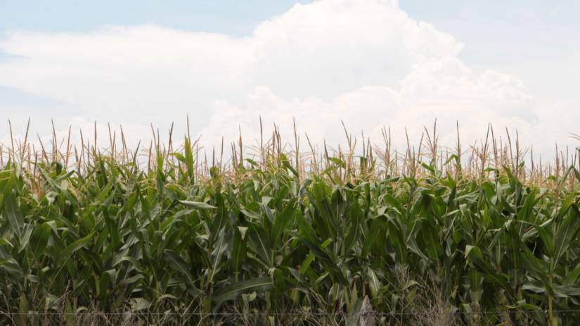 Se puso en marcha el Programa de Buenas Prácticas Agropecuarias para productores e instituciones del sector